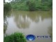 Stockleigh QLD 4280