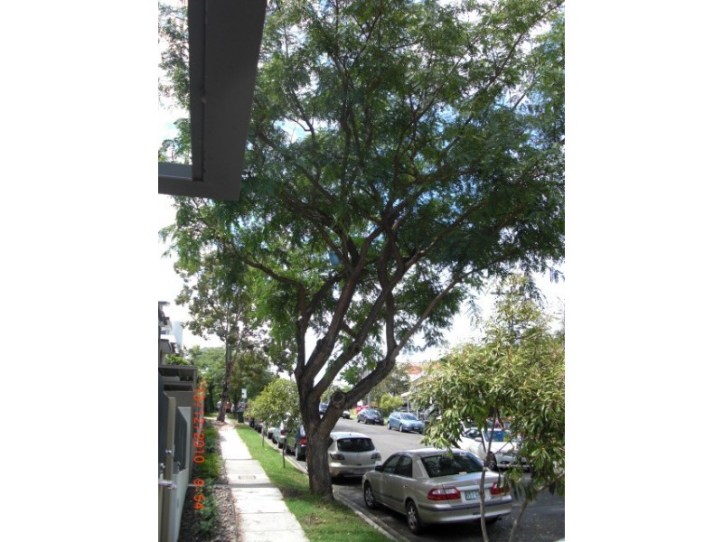 2014/18 Manning, Milton QLD 4064