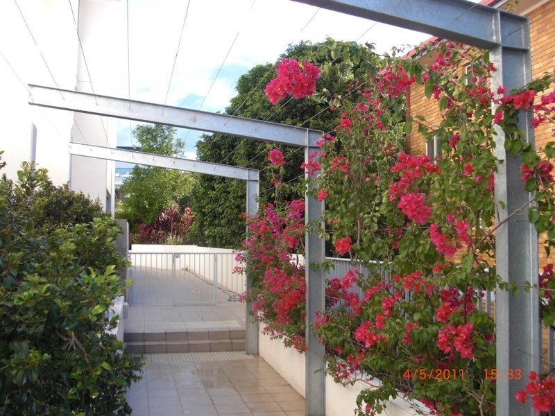 19/15 Walsh Street, Milton QLD 4064