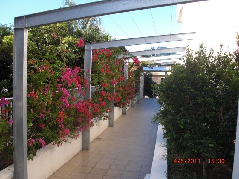 19/15 Walsh Street, Milton QLD 4064