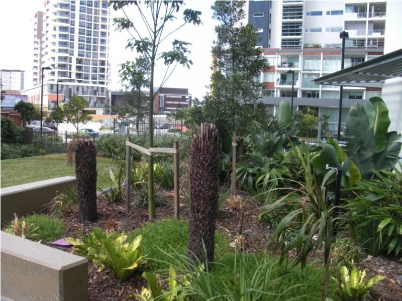 8 Harbour Road, Hamilton QLD 4007