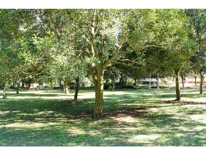 80 to 82 Benowa Street, Tamborine Mountain QLD 4272