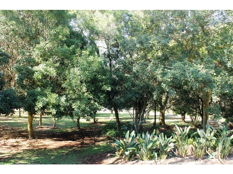 80 to 82 Benowa Street, Tamborine Mountain QLD 4272