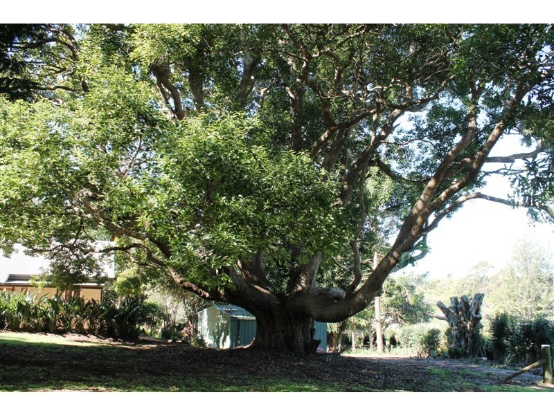 80 to 82 Benowa Street, Tamborine Mountain QLD 4272