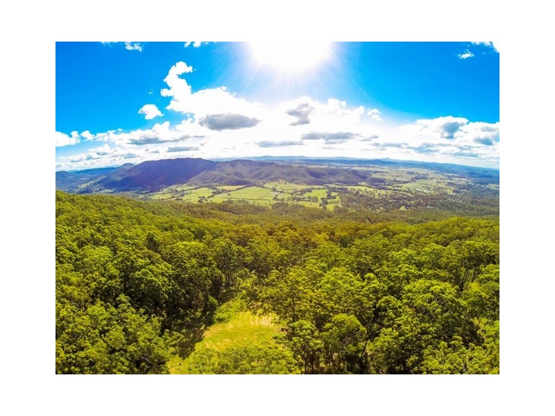 905c main Western Rd, Tamborine Mountain QLD 4272