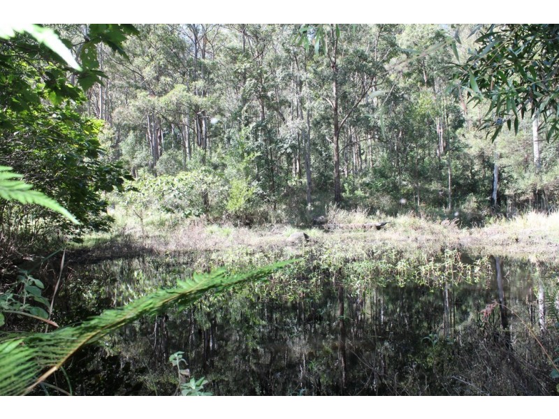 905c main Western Rd, Tamborine Mountain QLD 4272