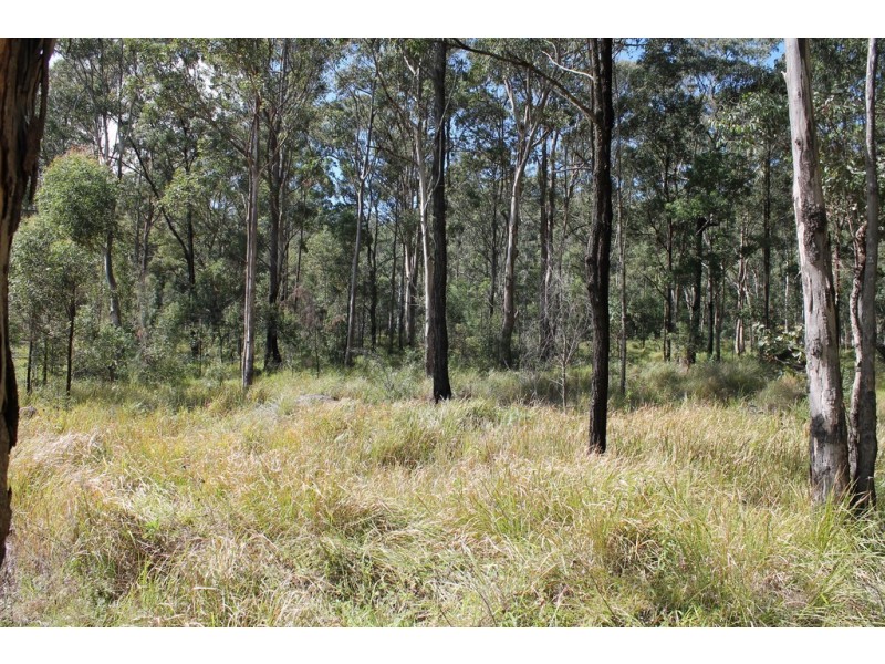 905c main Western Rd, Tamborine Mountain QLD 4272