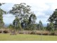 905c main Western Rd, Tamborine Mountain QLD 4272