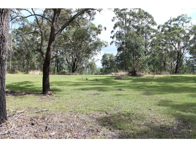 905c main Western Rd, Tamborine Mountain QLD 4272