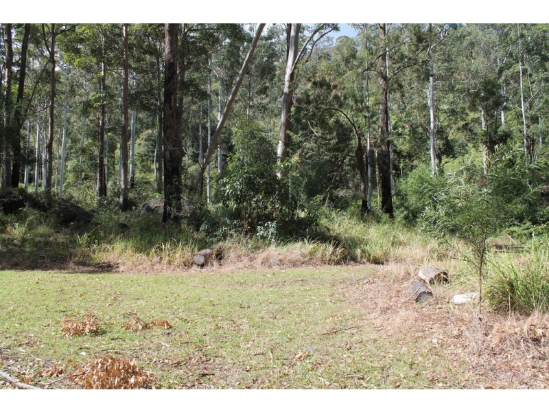 905c main Western Rd, Tamborine Mountain QLD 4272