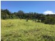 52 to 54 The Shelf Road, Tamborine Mountain QLD 4272
