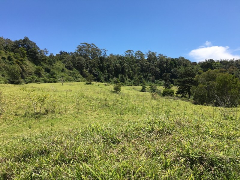 52 to 54 The Shelf Road, Tamborine Mountain QLD 4272