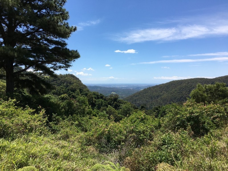 52 to 54 The Shelf Road, Tamborine Mountain QLD 4272