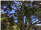 52 to 54 The Shelf Road, Tamborine Mountain QLD 4272