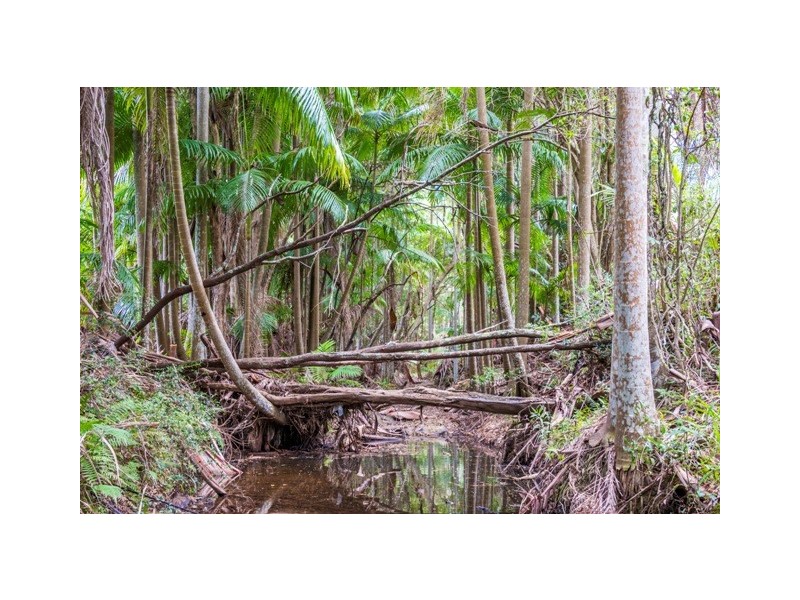 Wongawallan QLD 4210