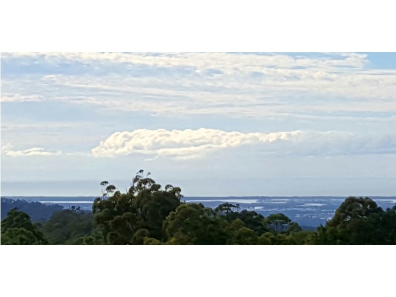 11 Elbert Court, Tamborine Mountain QLD 4272