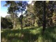 13 Ambon, Tamborine Mountain QLD 4272