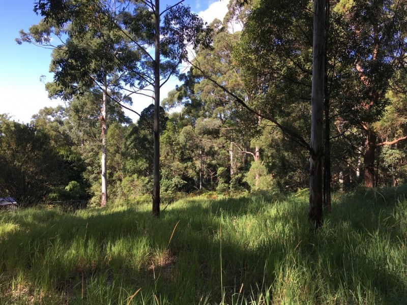 13 Ambon, Tamborine Mountain QLD 4272