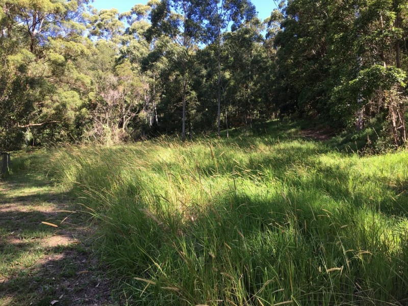 13 Ambon, Tamborine Mountain QLD 4272