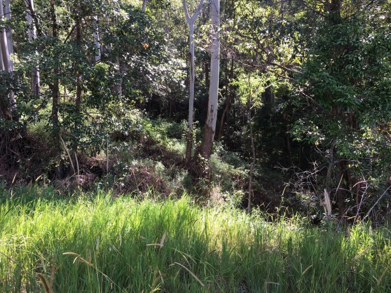 13 Ambon, Tamborine Mountain QLD 4272