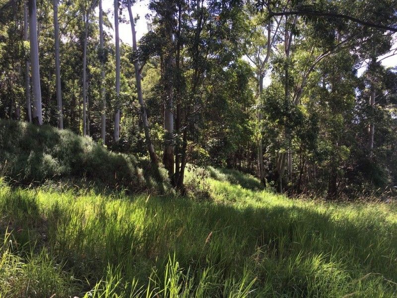 13 Ambon, Tamborine Mountain QLD 4272