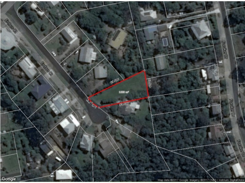 14 Erebus Court, Tamborine Mountain QLD 4272