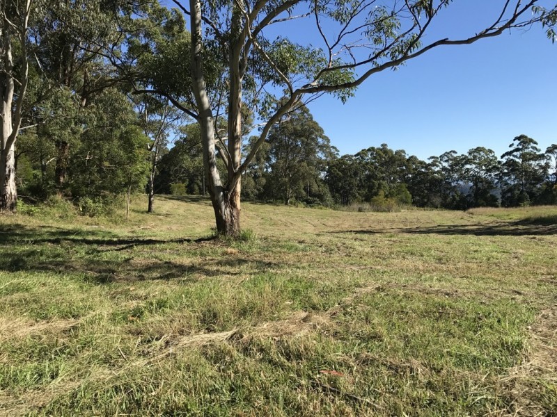 905G Main Western Rd, Tamborine Mountain QLD 4272