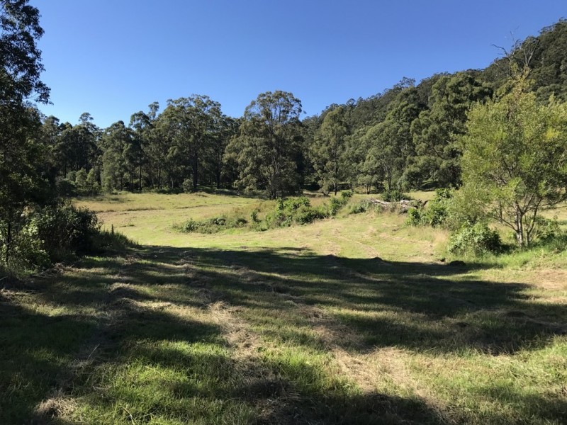 905G Main Western Rd, Tamborine Mountain QLD 4272