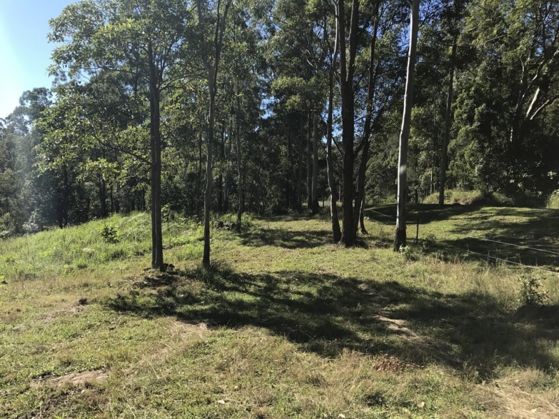 905G Main Western Rd, Tamborine Mountain QLD 4272