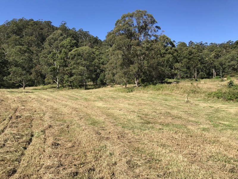 905G Main Western Rd, Tamborine Mountain QLD 4272