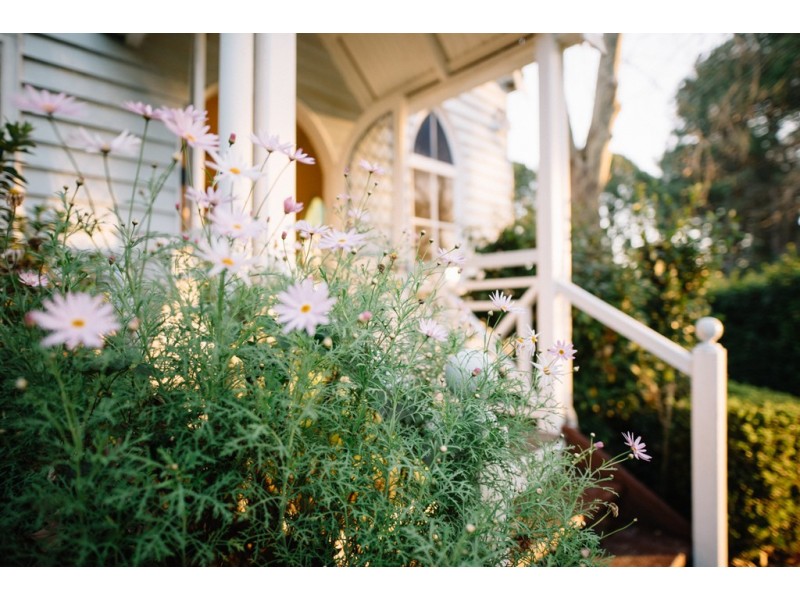 216 to 226 Cnr Curtis and Long Rd, Tamborine Mountain QLD 4272