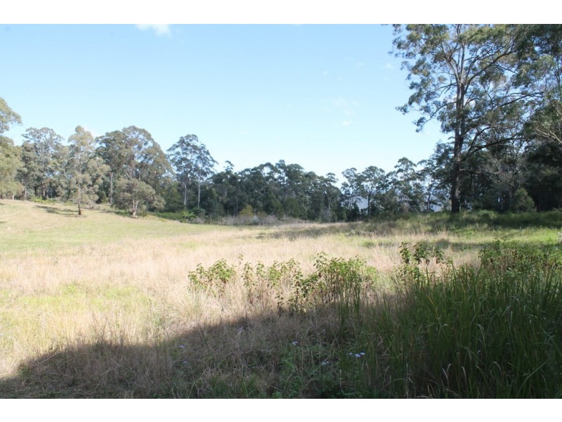 905H Main Western rd, Tamborine Mountain QLD 4272