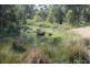 905H Main Western rd, Tamborine Mountain QLD 4272