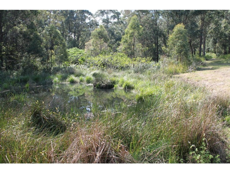 905H Main Western rd, Tamborine Mountain QLD 4272