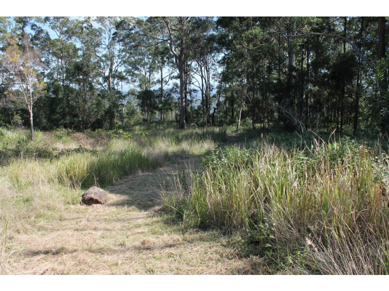 905H Main Western rd, Tamborine Mountain QLD 4272