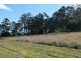 905H Main Western rd, Tamborine Mountain QLD 4272