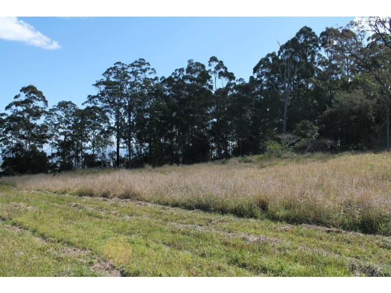 905H Main Western rd, Tamborine Mountain QLD 4272