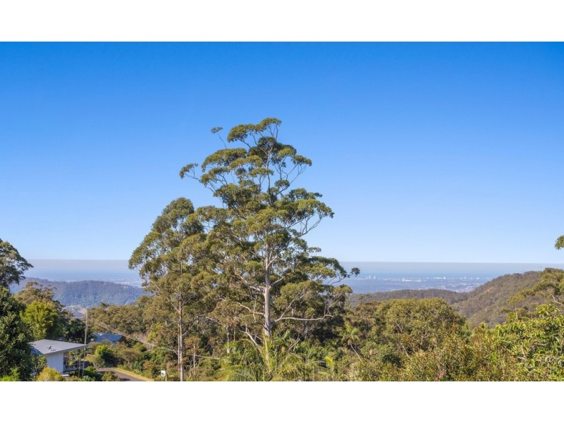 50 Paradise Drive, Tamborine Mountain QLD 4272