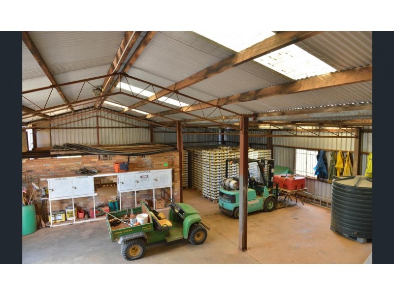 300 Main Western Road, Tamborine Mountain QLD 4272