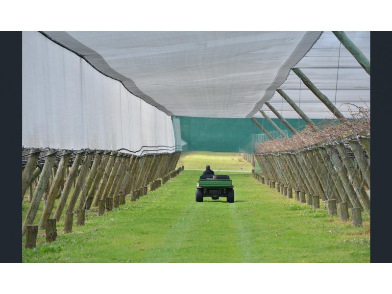 300 Main Western Road, Tamborine Mountain QLD 4272