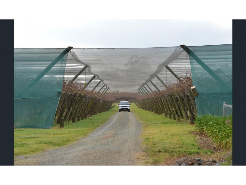 300 Main Western Road, Tamborine Mountain QLD 4272