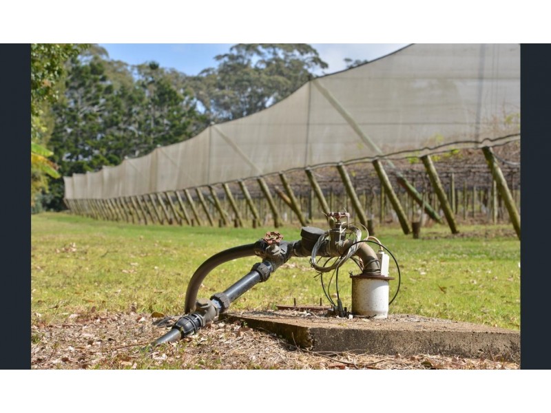 300 Main Western Road, Tamborine Mountain QLD 4272