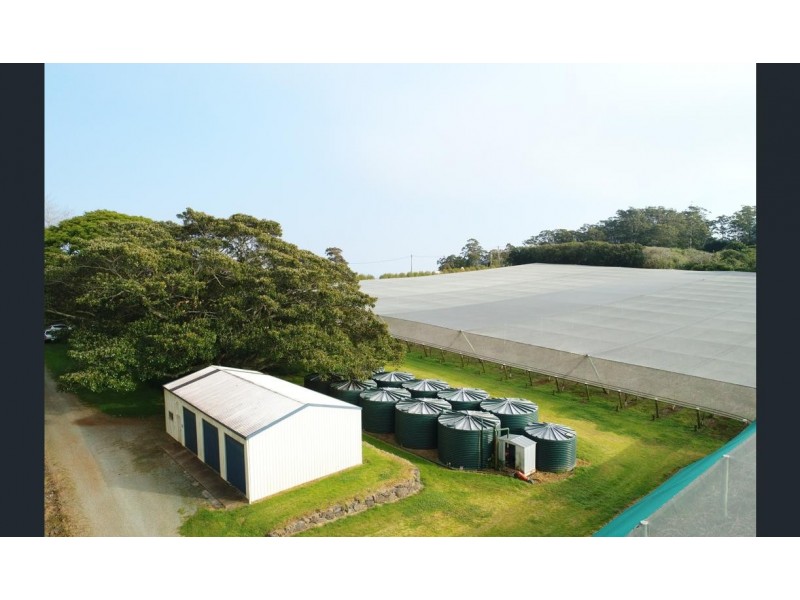 300 Main Western Road, Tamborine Mountain QLD 4272