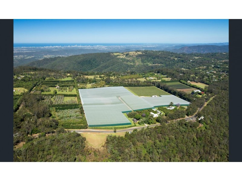 300 Main Western Road, Tamborine Mountain QLD 4272