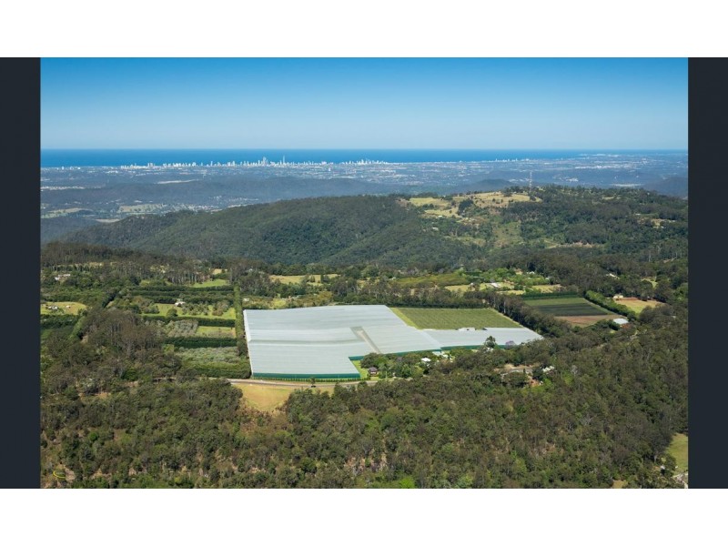 300 Main Western Road, Tamborine Mountain QLD 4272