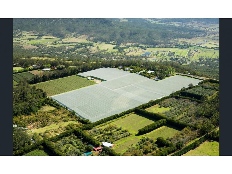 300 Main Western Road, Tamborine Mountain QLD 4272