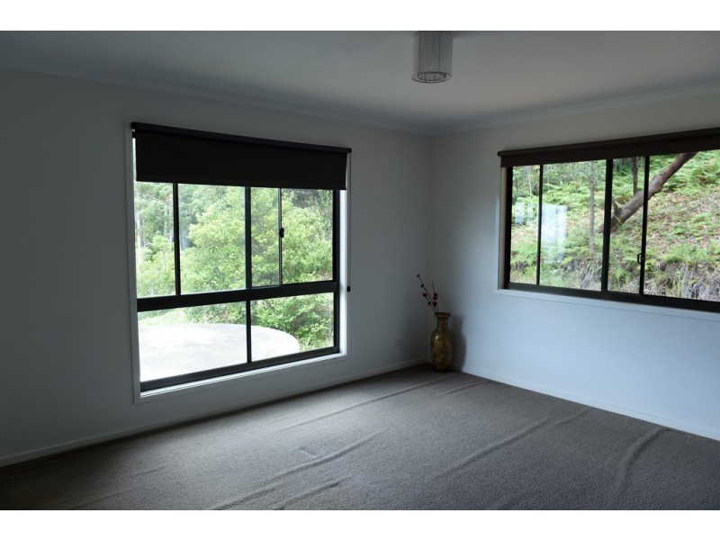 25 Sumba Court, Tamborine Mountain QLD 4272