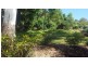 Tamborine Mountain QLD 4272