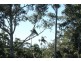 Tamborine Mountain QLD 4272