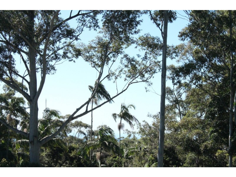 Tamborine Mountain QLD 4272